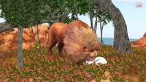 3D Animation Animals Nursery Rhymes Collection - Popular Nursery Rhymes Collection - Animals Songs