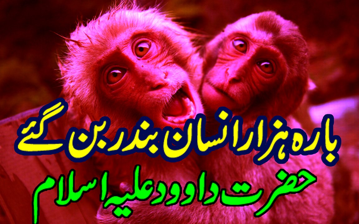 Hazrat Dawood Alaihis Salam ki Qaom k 12000 Insan Bandar Ban Gay Islamic Stories by Muhammad Usman