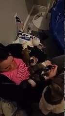 Une chienne confie ses petits à sa sauveuse !