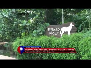 Pesona Hutan Amazon Ciptaan Singapura - NET12