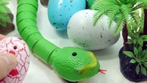 DIY How to Make Colors Robotic Remocon Snake Jungle Learn Colors Slime Big Orbeez Iceream