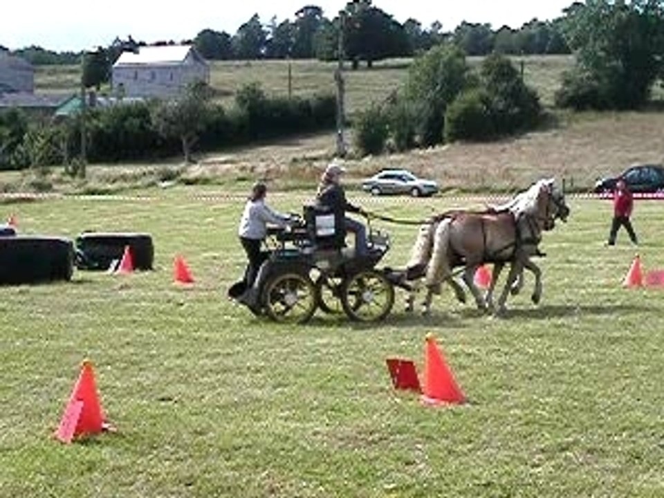 attelage mania 3