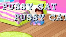 Pussy Cat, Pussy Cat Nursery Rhyme | Traditional Childrens Songs | Best Buddies