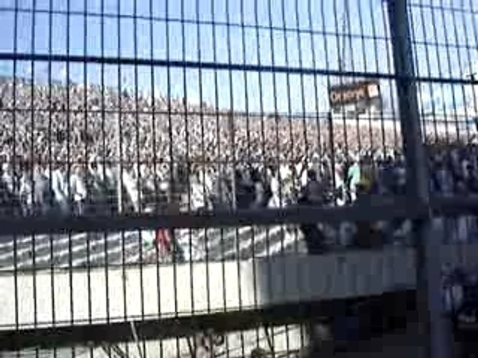 OM Toulouse