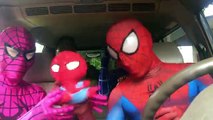 Superhero CARPOOL RIDE DANCE PARTY ! Spiderman , Pink Spidergirl , Hulk & Blue Spiderman in 4k