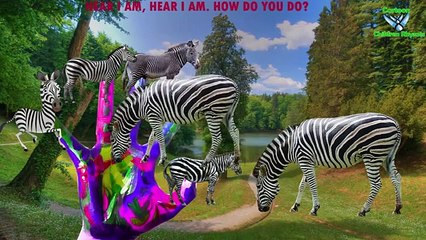 Finger Family Nursery Rhymes For Children Horse Cartoons | Finger Family Children Nursery Rhymes