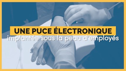Cette entreprise belge a implanté une puce dans la peau de ses employés