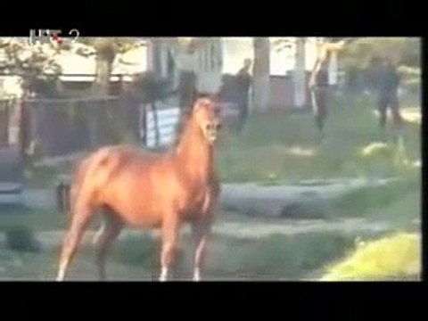 Гражданская война в Югославии. Бои за Вуковар