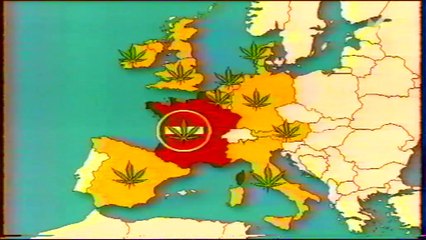 capital - le cannabis une plante interdite en france (avril 2000)