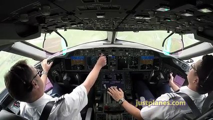 Landing of Boeing 787 from Cockpit