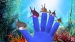 Акула Finger Семья Дети Потешки Коллекция | Палец Семья Потешки Акула Для Детей