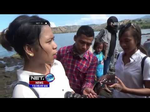 Menikmati Keindahan Wisata Pulau Ular di NTB - NET12