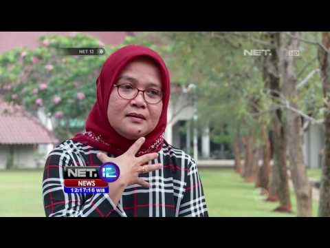 Penelusuran Kali Bersih di Jakarta - NET12