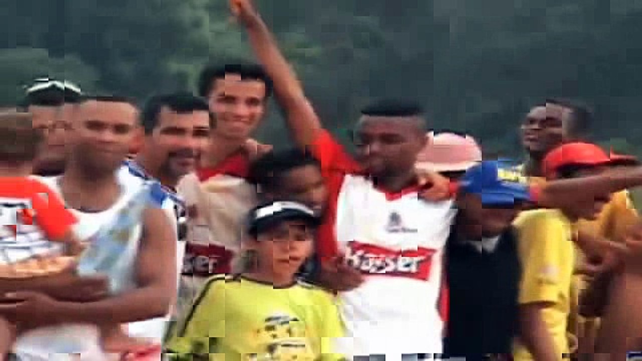 Historias da varzea