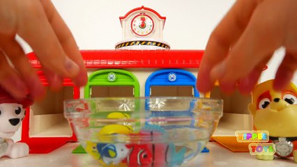 Bus Garage Toy for Kids | Learn Colors | Tayo Playset and Paw Patrol