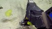 Un ver sous-marin jaune fluo filmé à des milliers de mètres de profondeur !
