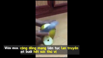 Clip gọt trái "bưởi siêu cùi" khiến bạn xem xong chỉ muốn "lạc trôi"
