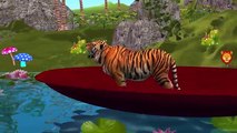 Tiger Cartoons For Children Finger Family Nursery Rhymes | Animals Wheels On The Bus Rhymes