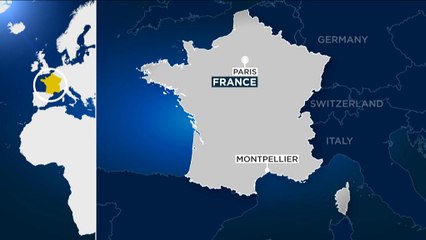 Fransa'da terör hazırlığında olan 4 kişi yakalandı