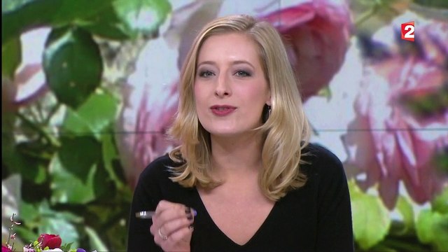 Saint-Valentin : l'incroyable bilan carbone des fleurs