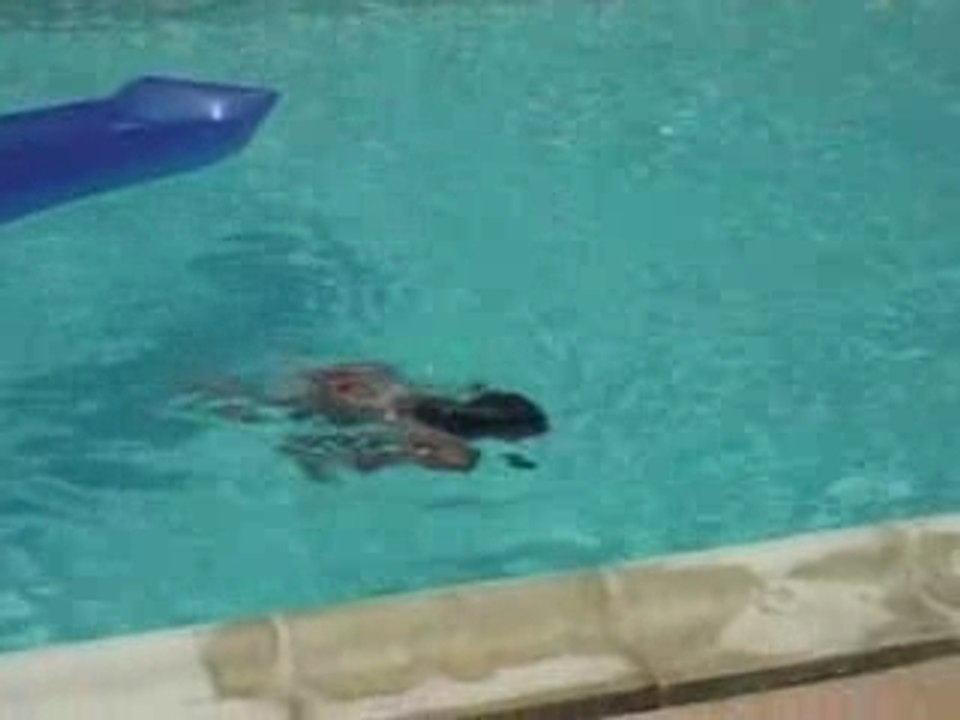 Vacances à Cannes 2007 Bande annonce