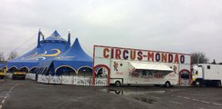 BBC Radio Lincolnshire - Scott Dalton 10Feb17 - Circus Mondao arrives in Lincolnshire