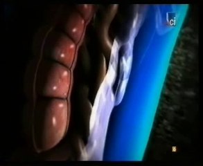 Maltrato infantil: Autopsia forense