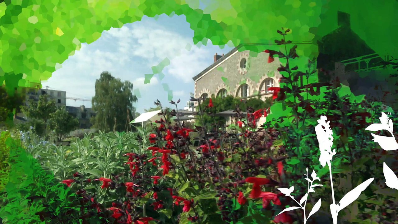 Folies Botaniques dans les Serres #6 : la Serre Tropicale