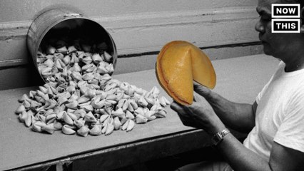 Why Did America's Top Fortune Cookie Writer Quit?