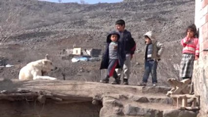 Boğazında Ip Sıkışan Köpeği Belediye Ekipleri Kurtardı