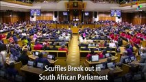 Scuffles Break out in South African Parliament