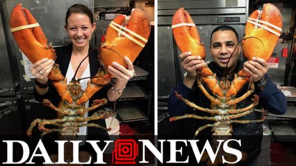 Old Homestead Steakhouse Will Spare It's 20-Pound Lobster ‘Lovers’