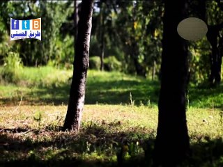 نصائح للمعلمين