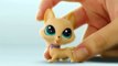 Hasbro 2016 - Littlest Pet Shop - LPS Over 150 Collectibe Pets / Zwierzątka do Kolekcjonowania