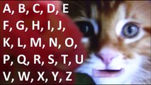 ABC песни для детей | английский Детские песни для малышей | формы песня алфавит обучения для детей