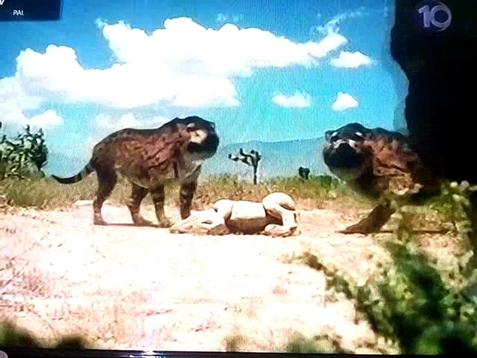 בעקבות חיות קדומות - לויתני הענק