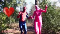 Pink Spidergirl Bride Wedding Dress Spiderman Pink Spidergirl Bride - Supehero Real Life