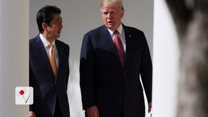 Trump May be Frustrated With the Challenges of the Job