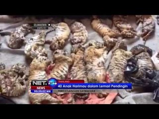 40 Anak Harimau Mati Ditemukan di Lemari Pendingin - NET24