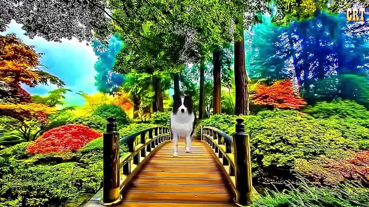 Lion Animal Sounds For Children | Learn Animal Nursery Rhymes For Kids Collection