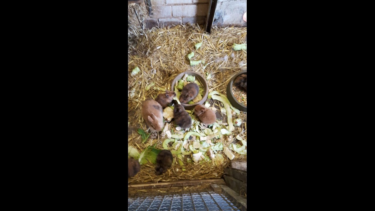 Ausflug mit Jana und Leonie