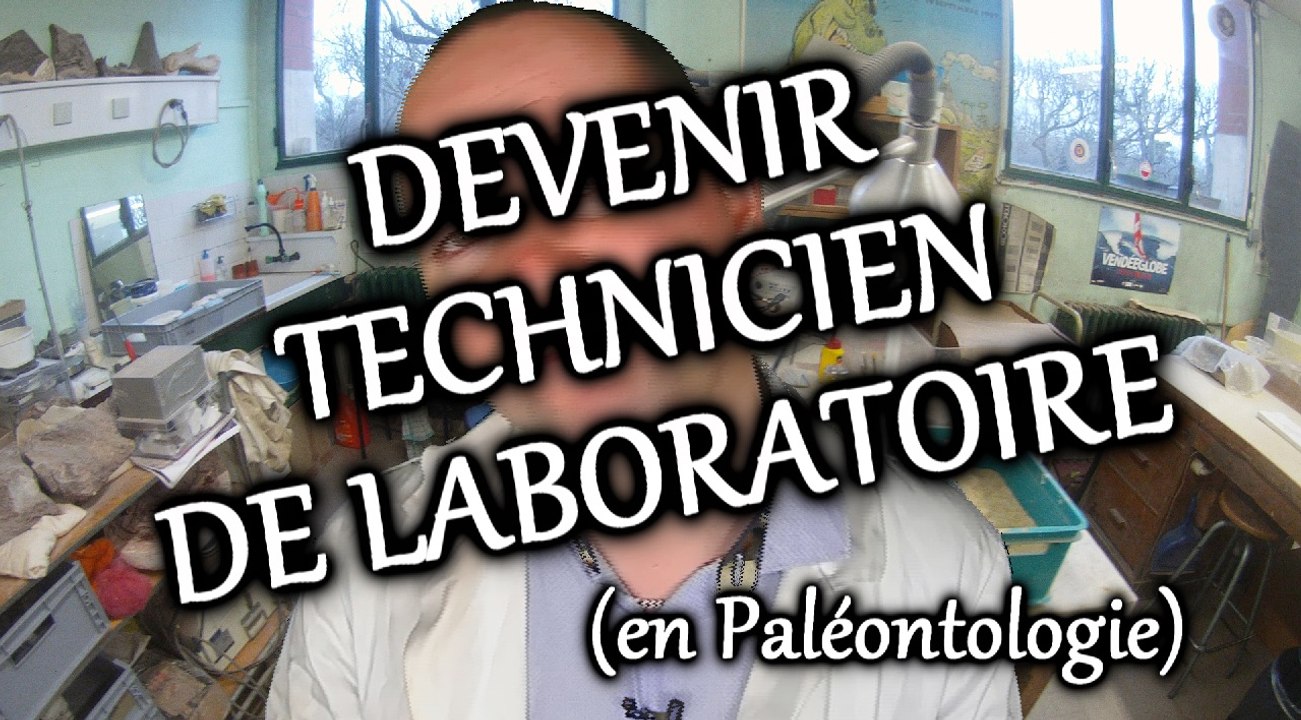 LES MÉTIERS DE LA PALÉONTOLOGIE 2 – DEVENIR TECHNICIEN DE LABORATOIRE EN PALÉONTOLOGIE