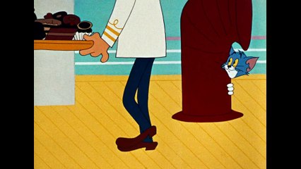 Tom & Jerry | CALYPSO CAT