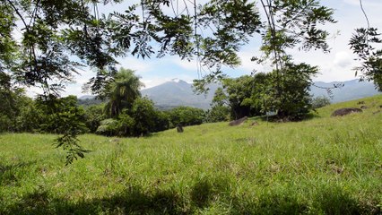 POR LOS CAMINOS DE MI VEREDA
