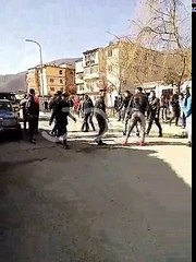 Ditelindja perfundon ne grushte