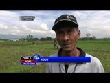 Aksi Komunitas Magelang Free Fly - NET24