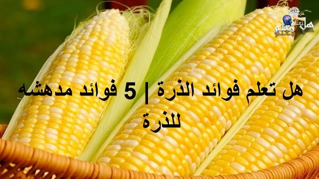 هل تعلم فوائد الذرة 5 فوائد مدهشه للذرة