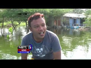 Banjir Rob, Warga Menjaring Ikan - NET5