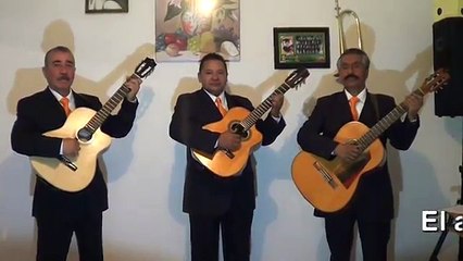 Tríos en Magdalena Contreras Cotizar T: 50267941