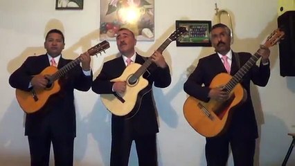 Tríos en Xochimilco T. 50267931 Informes